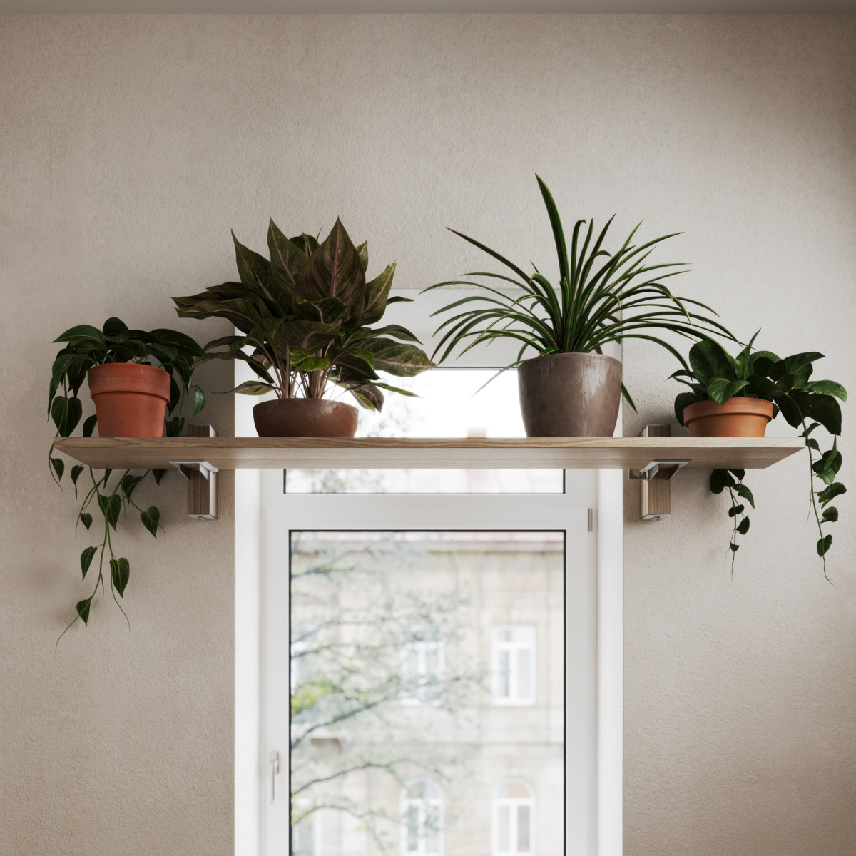 Wandregal für Pflanzen aus Massivholz über einem Fenster