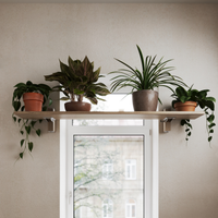 Pflanzenregal fürs Fenster